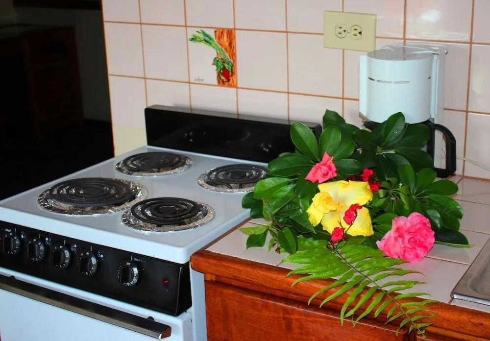 Hotel Ecological Inn San José Zewnętrze zdjęcie