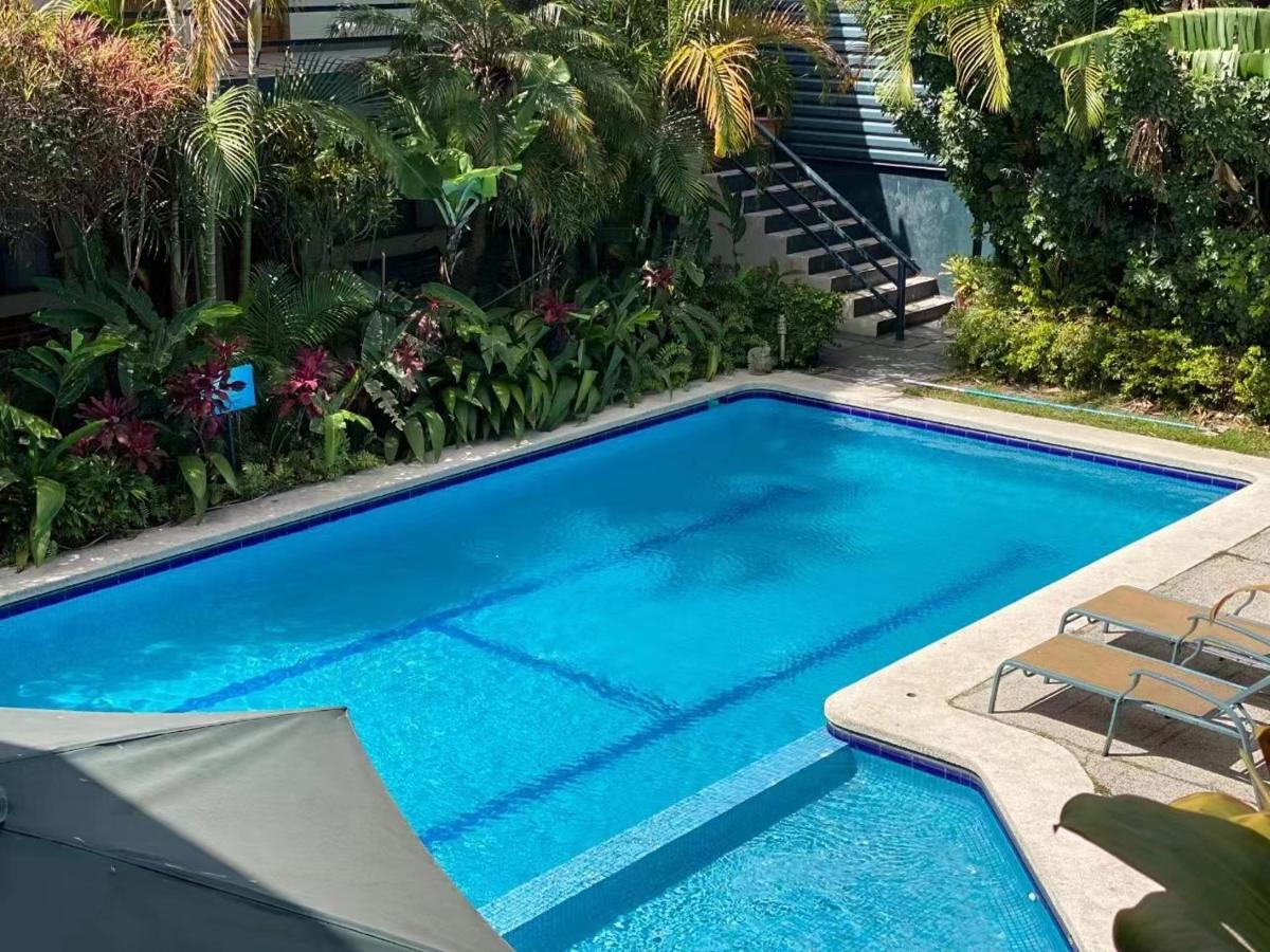 Hotel Ecological Inn San José Zewnętrze zdjęcie